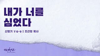 2024년 11월 17일 주일설교 내가 너를 심었다 신명기 769  조선형 목사 [upl. by Baun970]