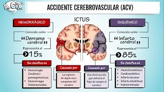 ACCIDENTE CEREBROVASCULAR  Ciencias Básicas [upl. by Nawuq]