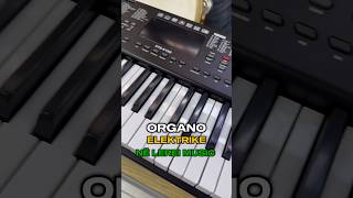 Organo Elektrike [upl. by Everara]