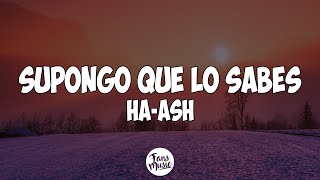 Supongo Que Lo Sabes Letra  HAASH [upl. by Nelleyram]