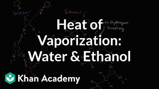 Heat of vaporization of water and ethanol  Biology  Khan Academy [upl. by Anailuj]