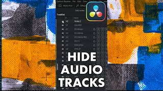 Hide Tracks in Fairlight  DaVinci Resolve Tutorial [upl. by Arocal462]