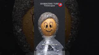 Chia Seeds facts ytshorts amazingsfacts shortfacts [upl. by Assyli864]