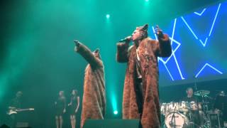 LIVE Ylvis  The Fox [upl. by Joub804]