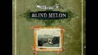 Blind Melon SkinnedAcustic [upl. by Dnalor]