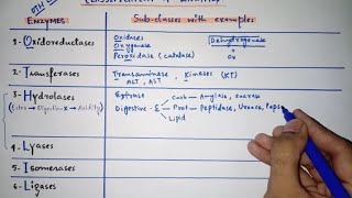 Enzyme classification with subclasses amp examples  Only in 5 minutes  Mnemonics [upl. by Vocaay]