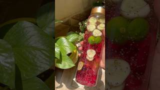 నా Red Detox waterHydrationviraltrendingweightlossweightlossjourneychiaseedsbeetrootdetoxyt [upl. by Jemy]