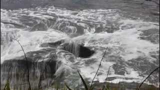 Blowhole in action at Muriwai Beach [upl. by Renelle429]