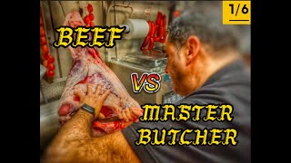 Despiece o Desposte de Res How to Butcher Beef 16 El bbq´S tapa topsidetoproundnalgashorts [upl. by Aalst]