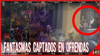 Fantasmas Captados en Ofrendas del 2 de Noviembre [upl. by Oilut235]