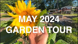 Homesteadin In The City May 2024 Garden Tour [upl. by Roos]