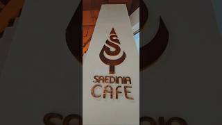 Saedinia Cafe Kish کافه ساعدی نیا کیش [upl. by Daphene408]