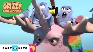 Grizzy and the Lemmings  Rainbow Moose  Cartoonito Africa [upl. by Aisatna]