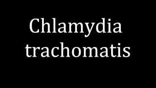 How to pronounce Chlamydia trachomatis [upl. by Aisinut]