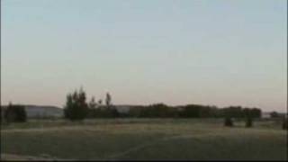 Ornithopter Flight Flapping and Gliding [upl. by Clementina]