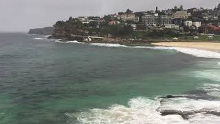 Bronte amp Tamarama Surf Check Thursday 15th August 2024 900am [upl. by Anairb]