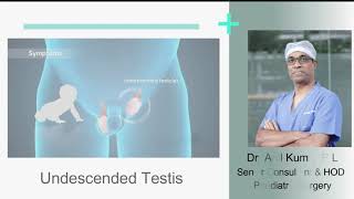 Undescended Testis Cryptorchidism  Sakra World Hospital [upl. by Hayotal542]