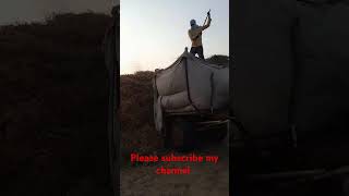 Moth claction I mpsgodara3836 I short vlog I godara namaste I short youtube [upl. by Akinod]