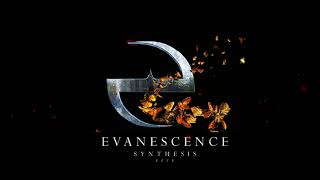 Evanescence  Synthesis Live Compilation [upl. by Ettennad]