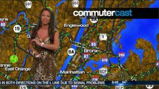 JILL NICOLINI WEARING LORD amp TAYLOR NANETTE LEPORE LEOPARD PRINT DRESS 7610 [upl. by Riay]