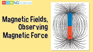 Magnetic Fields – Observing Magnetic Force [upl. by Zilevi583]