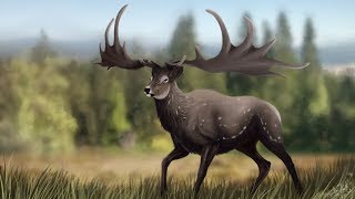 Megaloceros  The Grand Deer [upl. by Kinch]