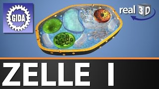 Trailer  Zelle I  Biologie  3D Software [upl. by Kissiah155]