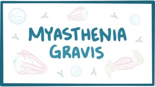 Myasthenia gravis  causes symptoms treatment pathology [upl. by Nolyat970]