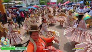 2DO DÍADEMOSTRACIÓN DE BLOQUES  FESTIVIDAD PATRONAL  PALOS BLANCOS 2024 [upl. by Knowlton29]