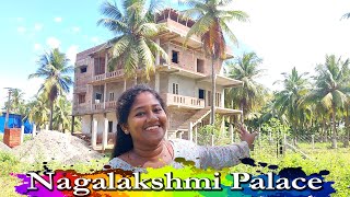 நம்ம சொந்த வீட்டோட Update  Nagas only natural  Nagas media hair oil  Nagalakshmi palace  Diml [upl. by Annaegroeg]