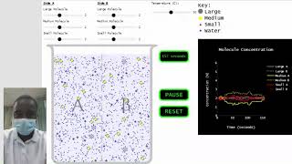 Molecule Movement Across a Semipermeable Membrane simulation [upl. by Niu265]