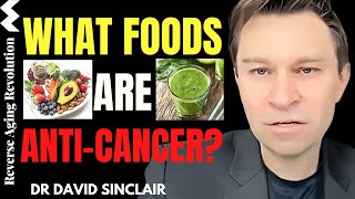 What FOODS Are AntiCancer  Dr David Sinclair Interview Clips [upl. by Nnyletak]