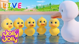 🔴LIVE🦆 Cinco patitos🦆 Bingo y más  Canciones Infantiles  Jolly Jolly en Español [upl. by Lashondra]