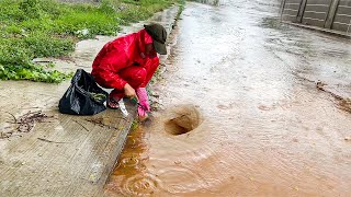 Draining Massive Heavy Raining On Street  Unclogging [upl. by Noiroc]