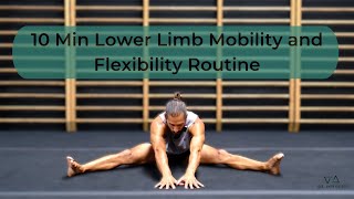 10 Min Lower Limb Mobility and Flexibility Routine for people who sit all damn day with a bonus [upl. by Jacey]