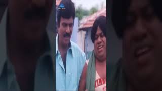 இருங்க நான் கழுதையோட வரேன்  Chokka Thangam Comedy Scene  Goundamani  Senthil  ytshorts [upl. by Urba]