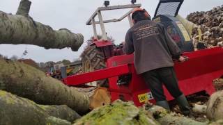 Firewood processing Hertfordshire ENGLAND Dalen 2054 [upl. by Avik]