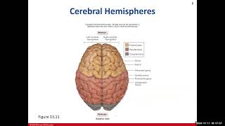 Day 18 BIO 210 700 Lecture FA2024 Brain [upl. by Sudderth]