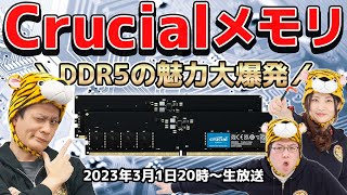 Crucial DDR5メモリの魅力大爆発！最新DDR5メモリKTUの超検証 [upl. by Eenwahs]