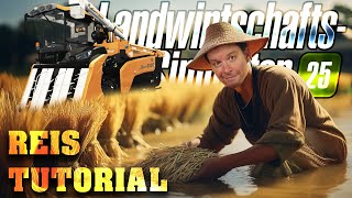 SO funktiniert der NEUE REISANBAU im LS25 Alles was du wissen musst  Landwirtschats Simulator 25 [upl. by Pontius]