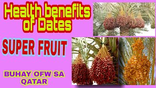 Health Benefits of Dates SUPER FRUIT [upl. by Nies265]