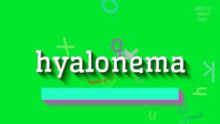 HOW TO SAY HYALONEMA hyalonema [upl. by Maillw]