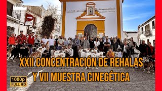 XXII CONCENTRACIÓN DE REHALAS Y VII MUESTRA CINEGÉTICA 2024 PASEO DE REHALAS Y MUESTRA CINEGÉTICA [upl. by Lil]