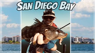 San Diego Back Bay Fishing is GOOD [upl. by Janna]