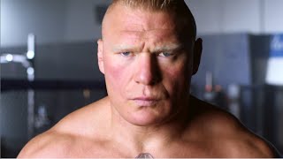 UFC Rankings Report Brock Lesnar and the Heavyweights [upl. by Thurnau]