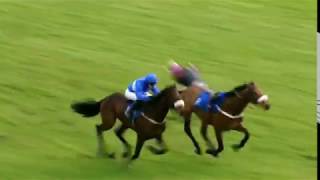 Horseracing thrills amp spills compilation [upl. by Tnarg]