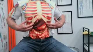 Diaphragm Muscle Self Release for Tension [upl. by Swanson]