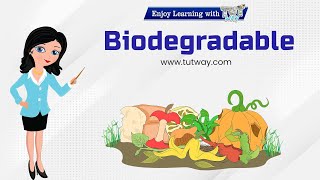 Biodegradable Waste  Biodegradable Waste amp NonBiodegradable Waste  Waste Management  Science [upl. by Ttam]