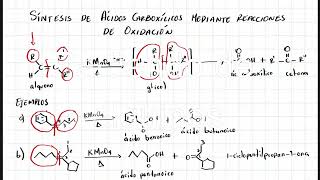 Síntesis de ácidos carbaxílicos utilizando reacciones de oxidación [upl. by Ellerret]