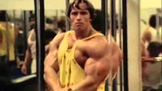 bodybuilding motivation arnold schwarzenegger [upl. by Notlil382]